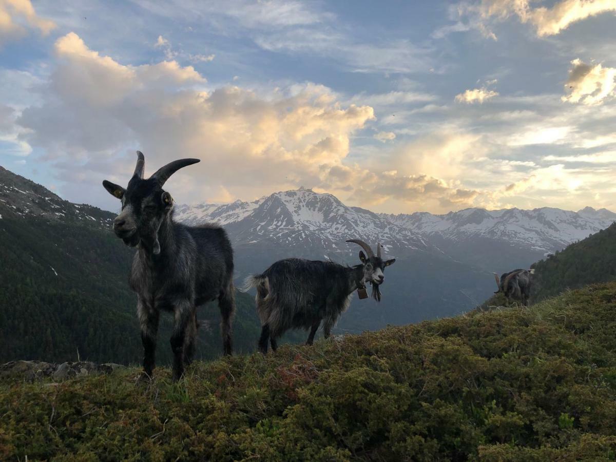 Apartmán Granbichlhof Sölden Exteriér fotografie